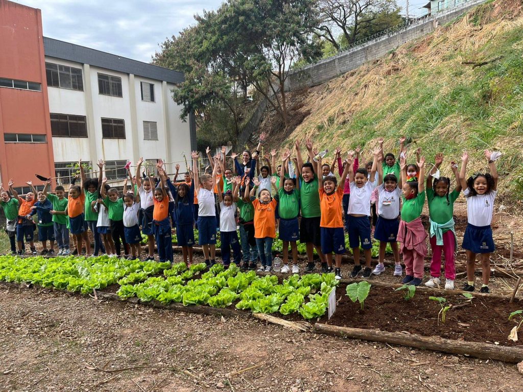 Projeto Reintegrar: alunos da Escola Municipal Mestre Paranhos fazem primeira colheita na horta da instituição
